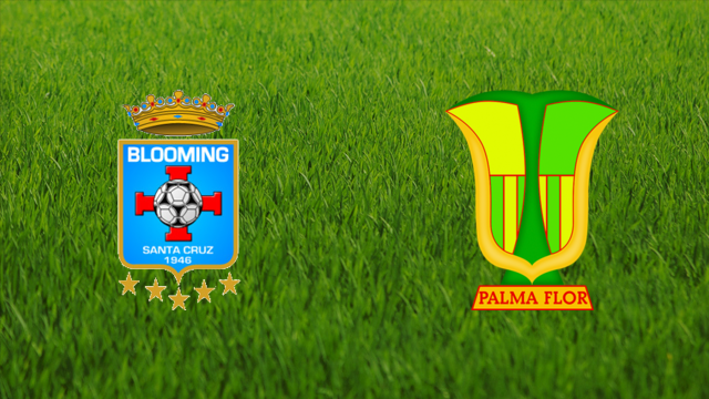 Club Blooming vs. CA Palmaflor