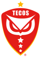 Tecos FC