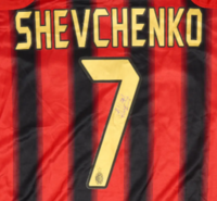 Shevchenko Friends